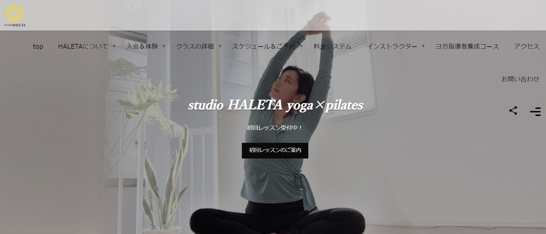 studio HALETA