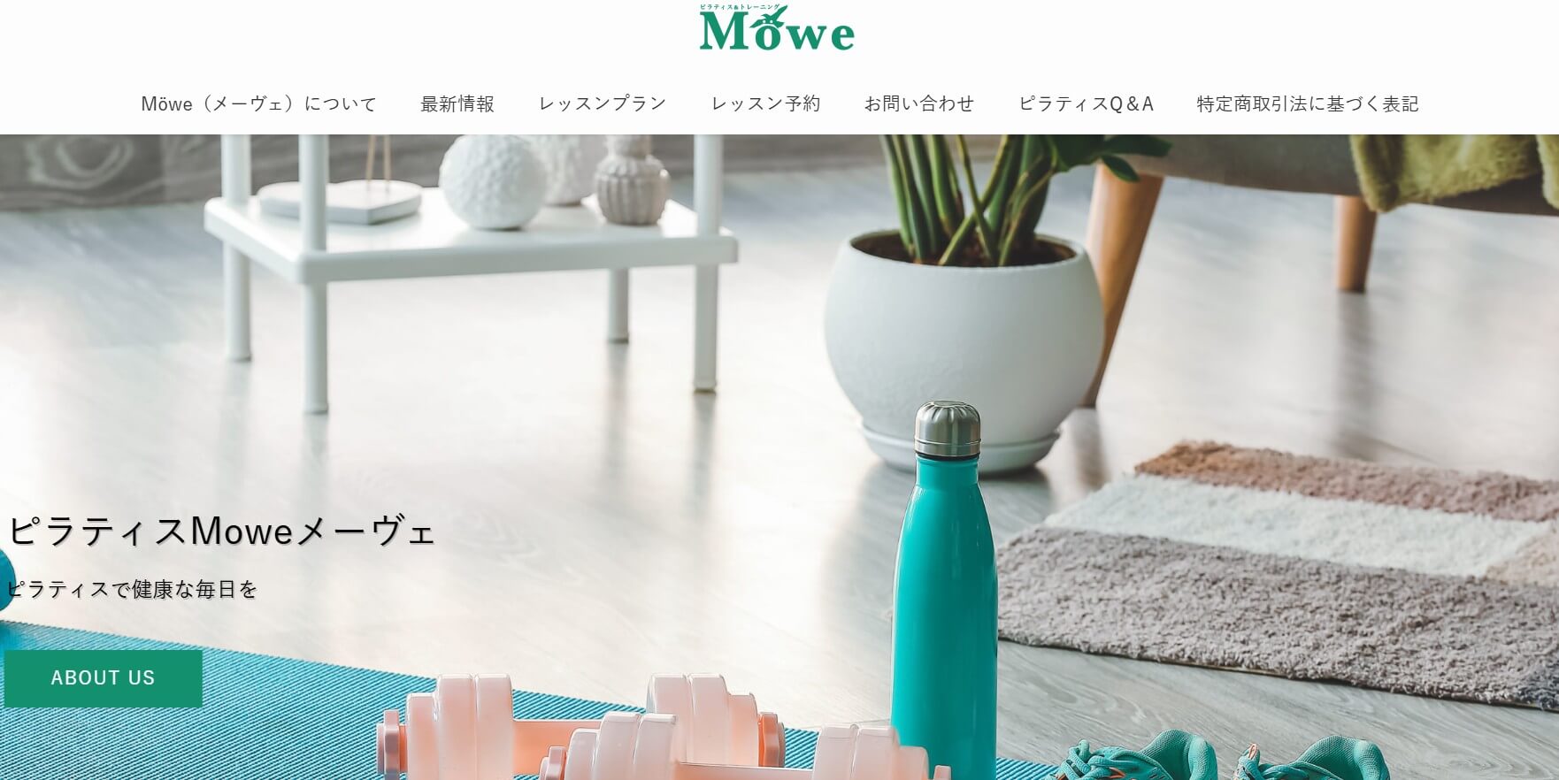 Möwe