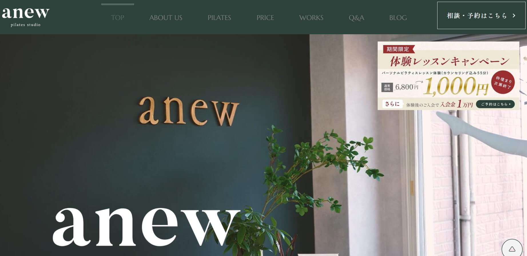 anew pilates studio
